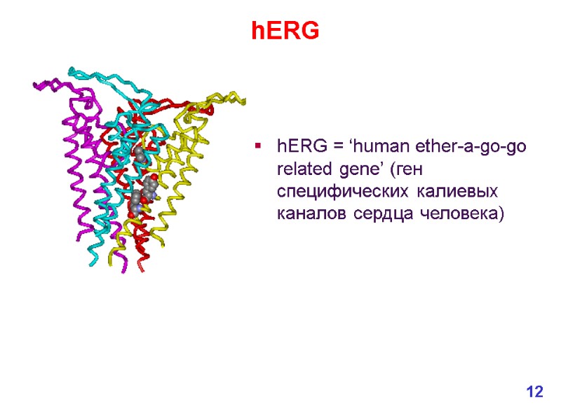 hERG = ‘human ether-a-go-go related gene’ (ген специфических калиевых каналов сердца человека) hERG 12